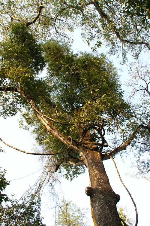 2005_nepaltrip_050